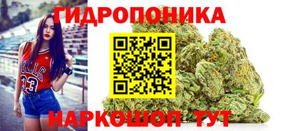 тгк Канаш