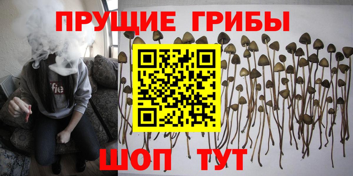 Галлюциногенные грибы прущие грибы Каменка